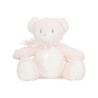 Blank Teddy Bear – 28cm Pre-Stuffed | White, Blue or Pink