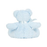 Blank Teddy Bear – 28cm Pre-Stuffed | White, Blue or Pink